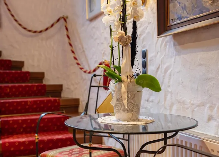 Emma 别墅 斯达姆